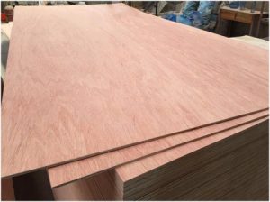 Bintangor-Plywood